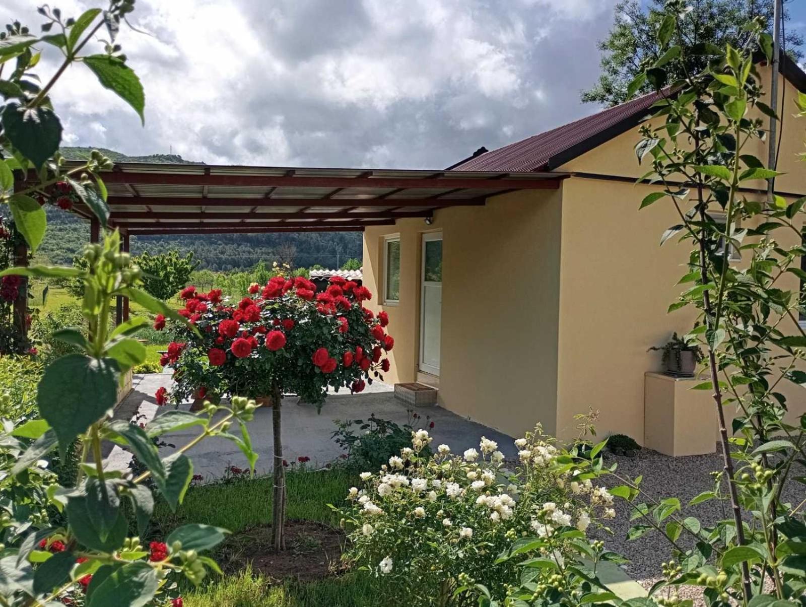 Vila Smjestaj Dada Trebinje Exteriér fotografie